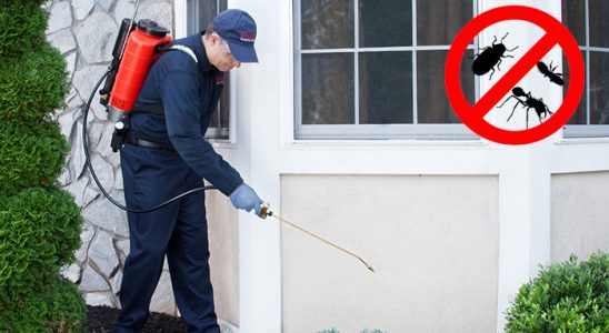 Yeniçamlık Karınca İlaçlama böcek ilaçlama ve haşere kontrolü — ilaclama-tr.com